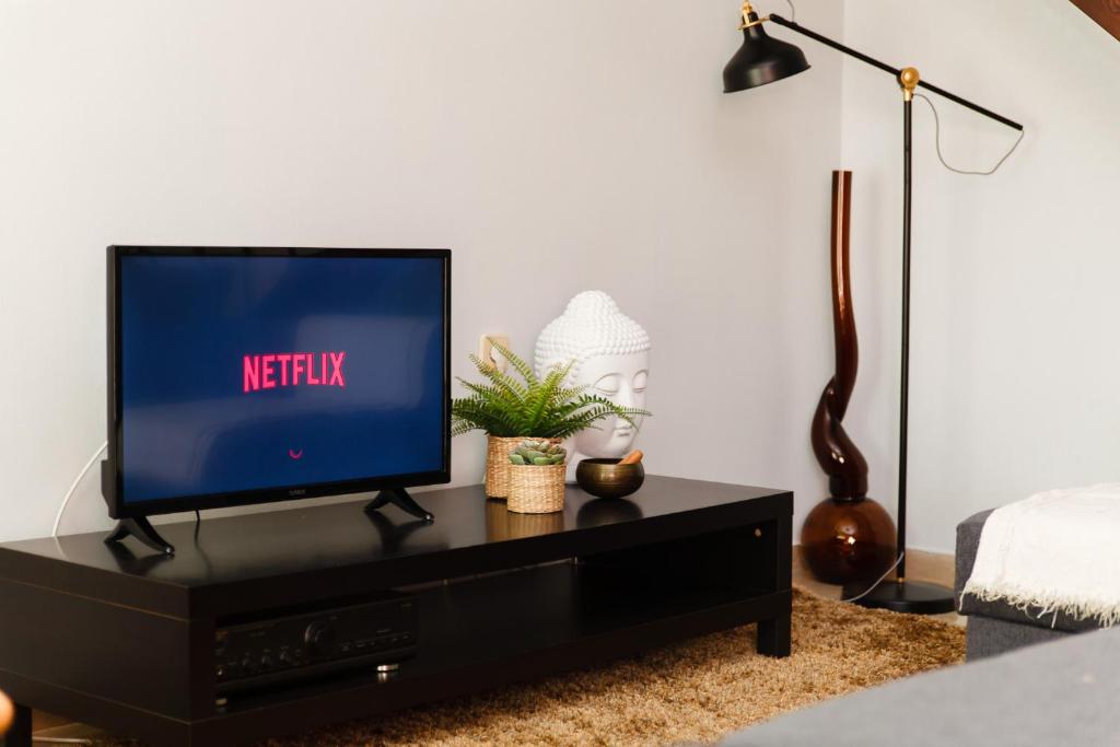 A television and/or entertainment centre at Velis apartment Thessaloniki