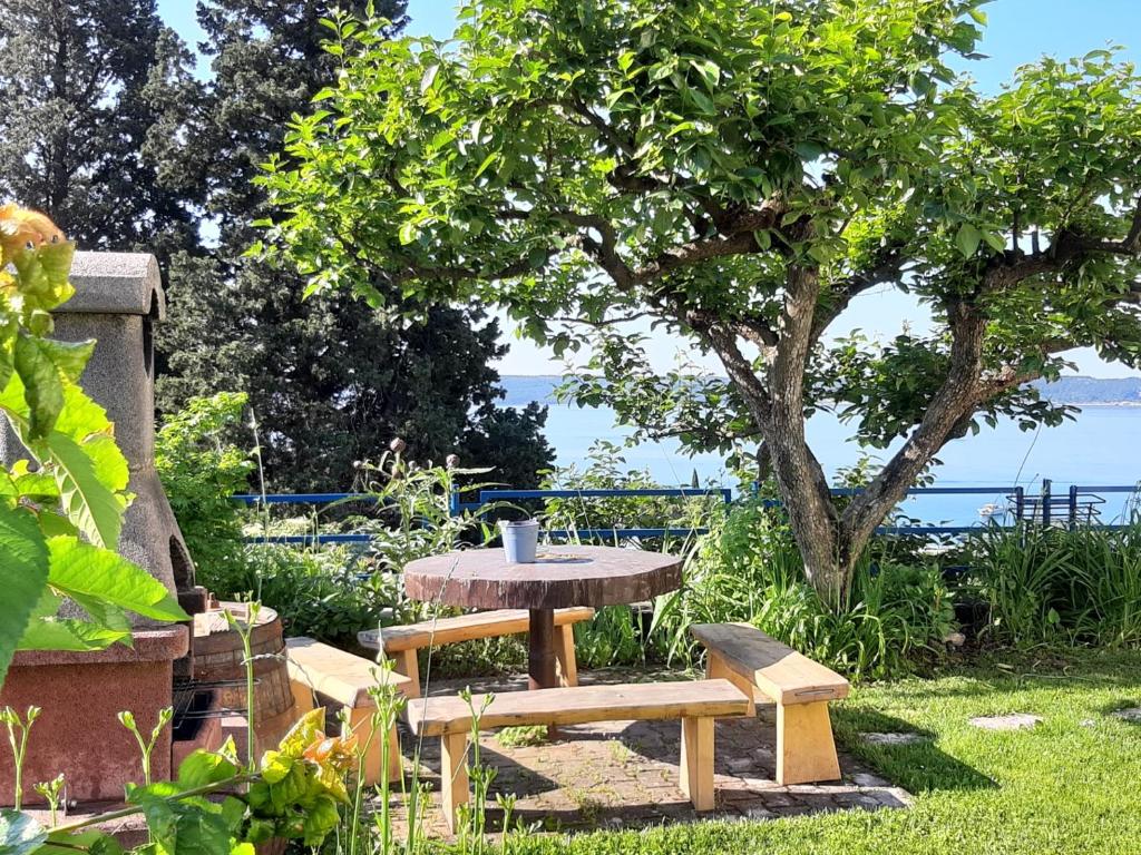 a picnic table and bench in a garden with a tree at Apartments and Rooms Knez in Portorož