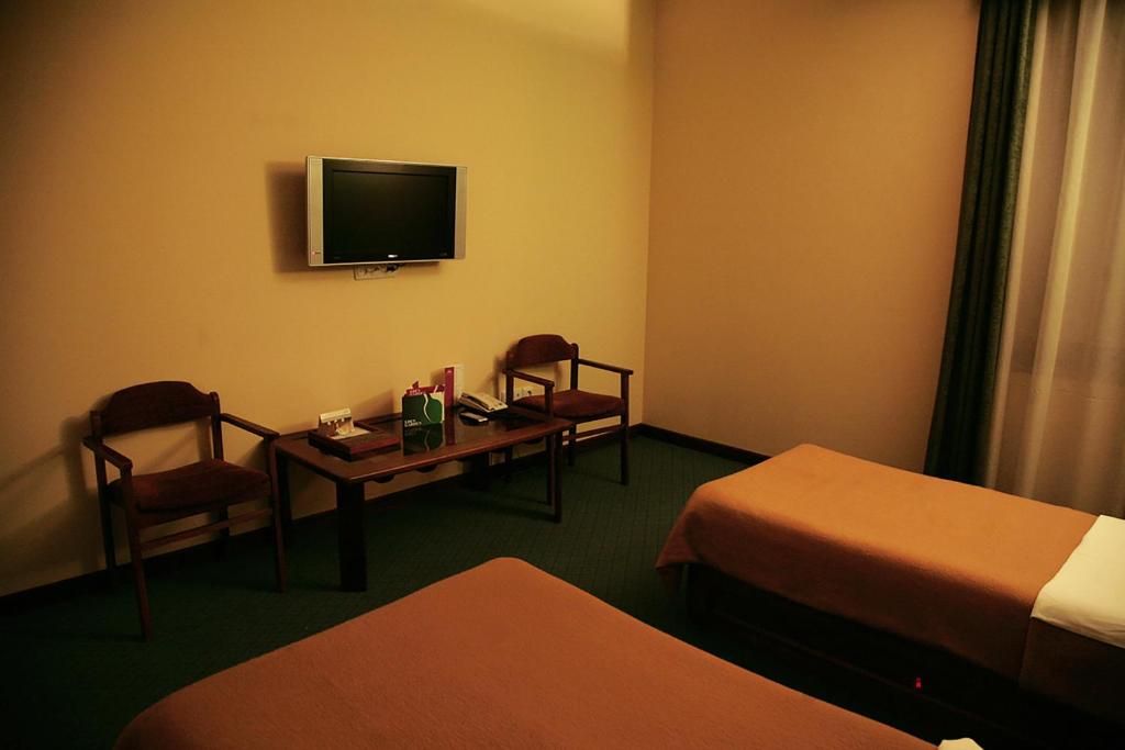 TV a/nebo společenská místnost v ubytování Ararat Hotel