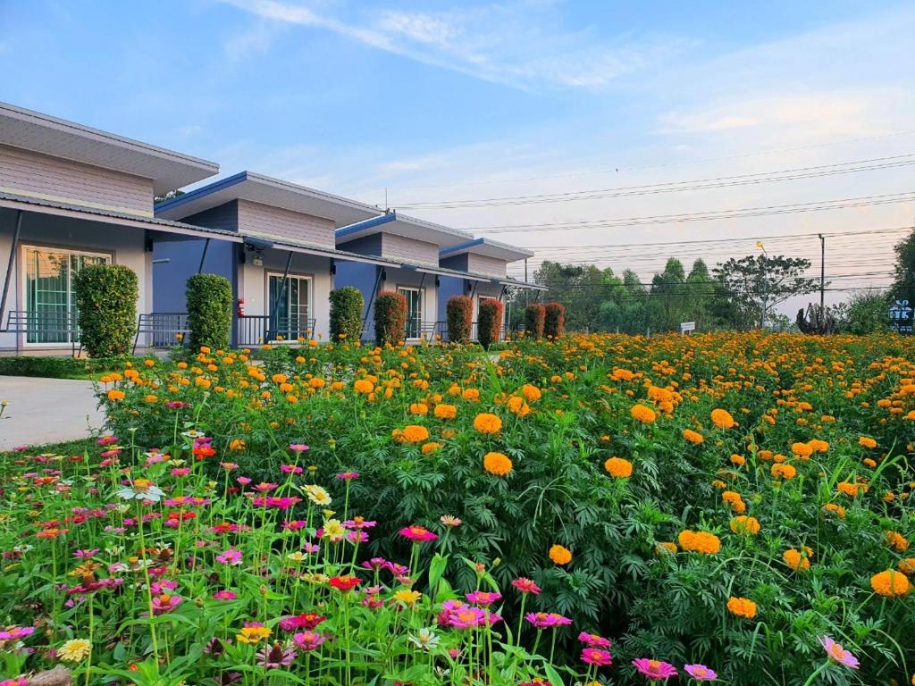 a field of flowers in front of a house at Maharak Resort in Nong Khai