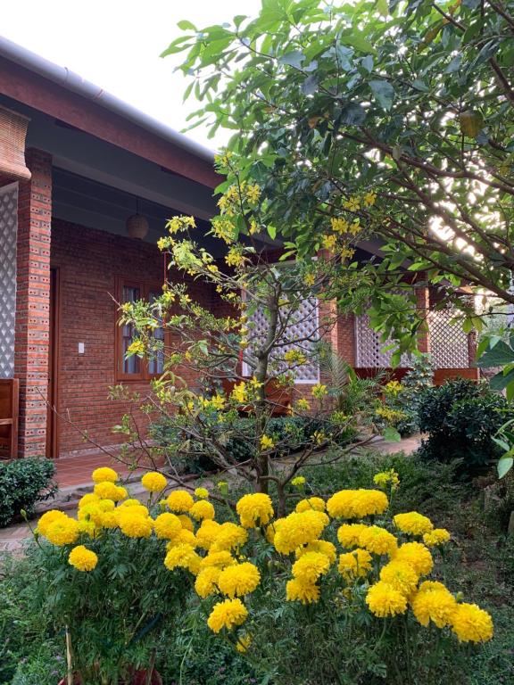 Zahrada ubytování Sam Ong Lang Homestay