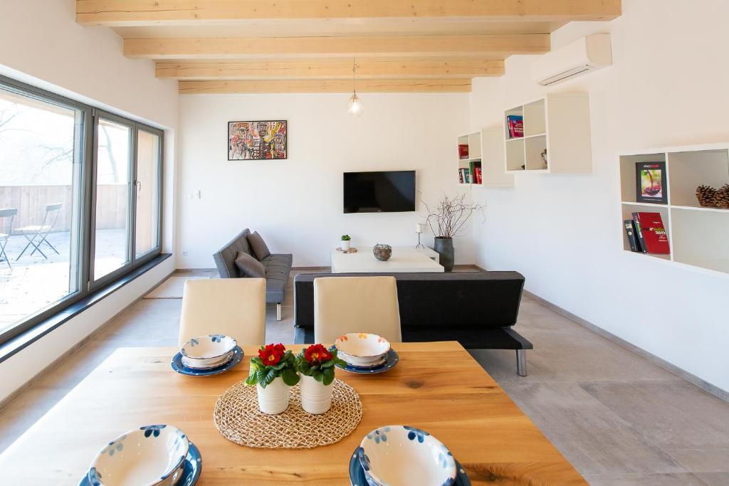 TV a/nebo společenská místnost v ubytování Exclusive penzion Viva Residence