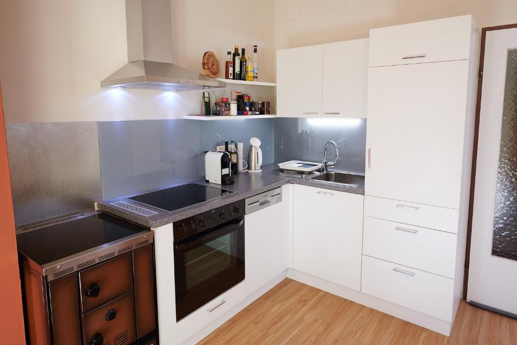 Kuchyň nebo kuchyňský kout v ubytování Ferienwohnung Klauber Schöder