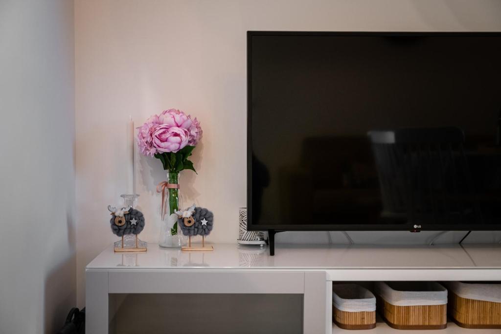 Televízia a/alebo spoločenská miestnosť v ubytovaní Apartments Villa Maria