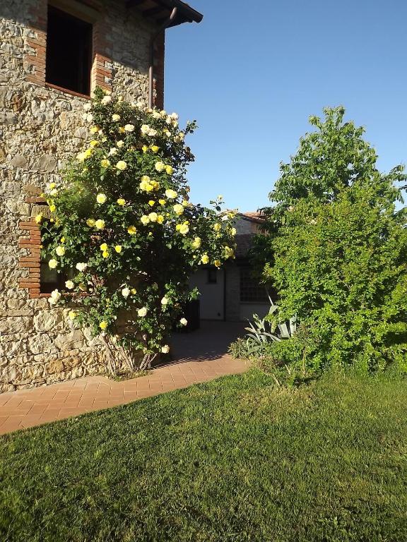 Zahrada ubytování Agriturismo Gattogiallo
