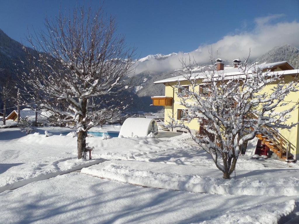 duas árvores cobertas de neve em frente a uma casa em Ferienwohnung Maier em Flattach