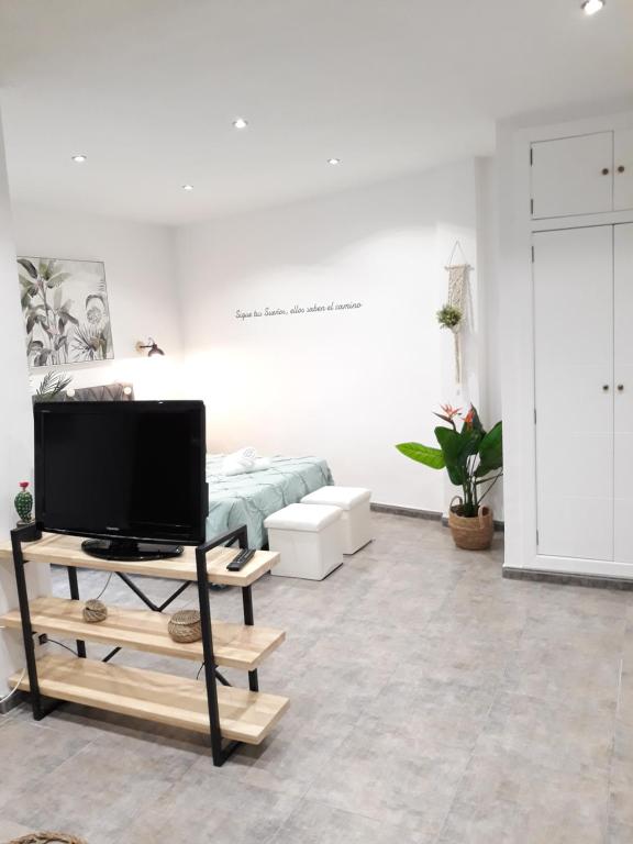 TV a/nebo společenská místnost v ubytování Apartamento pleno centro Wallada