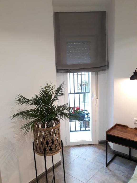 TV a/nebo společenská místnost v ubytování Apartamento pleno centro Wallada