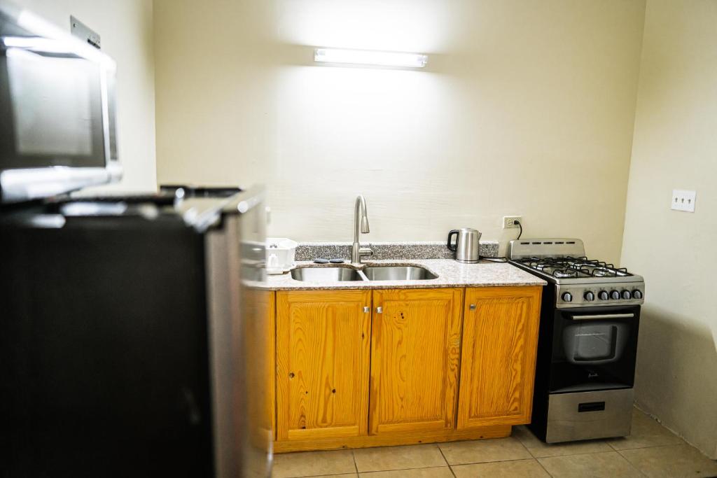 Kuchyň nebo kuchyňský kout v ubytování Connie's Comfort Suites