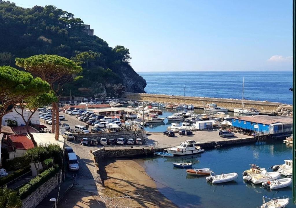 - un groupe de bateaux garés dans un port de plaisance à côté de l'océan dans l'établissement Relais del mare con terrazza fronte mare free parking, à Massa Lubrense