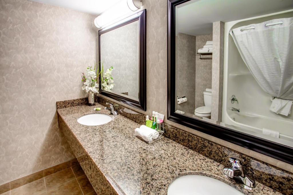 
King Studio Suite - Non-Smoking
