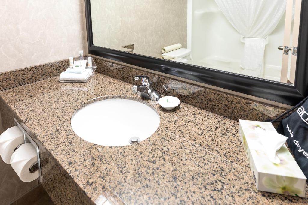 Royal Hotel West Edmonton, Trademark Collection by Wyndham - Resim 14