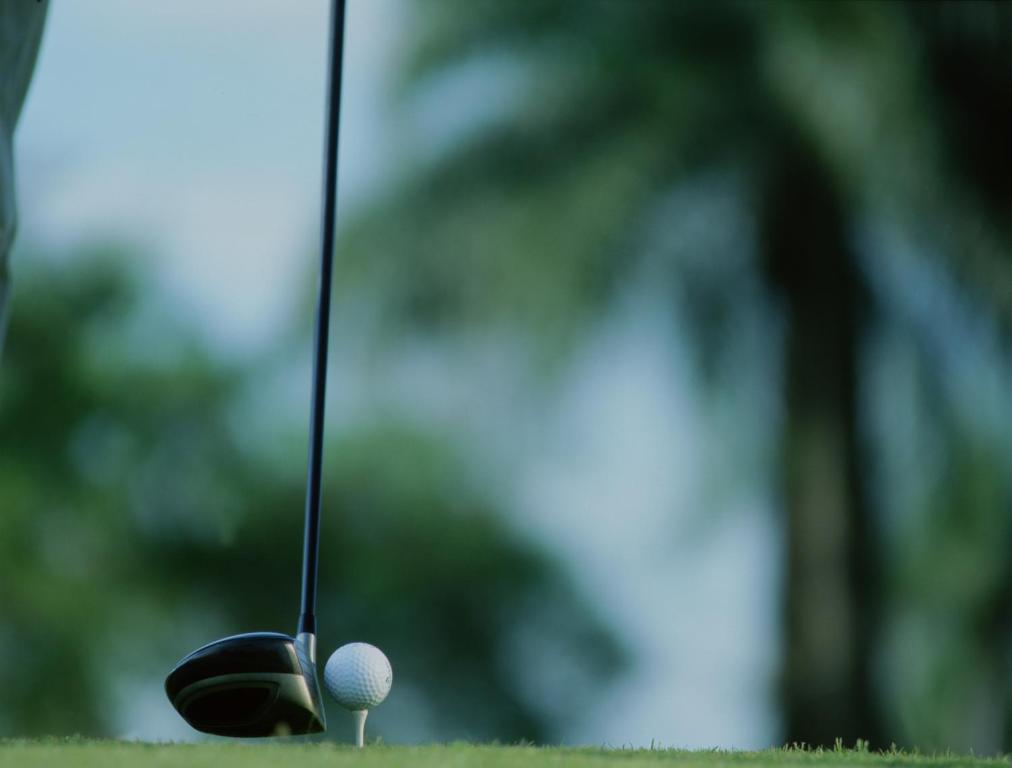 Golf v hotelu nebo okolí