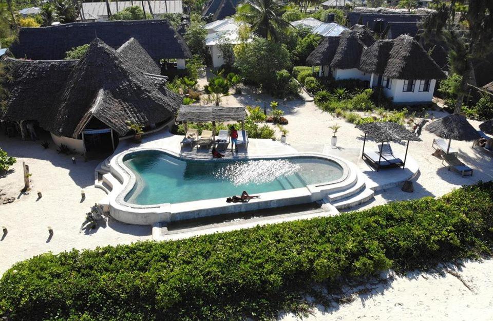 an aerial view of a swimming pool at a resort at Driftwood Beach Lodge in Jambiani