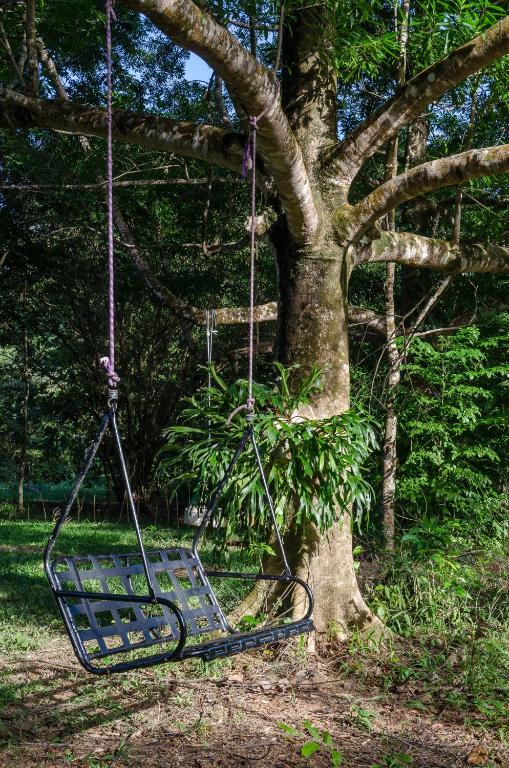 Zahrada ubytování Epiphyte B & B