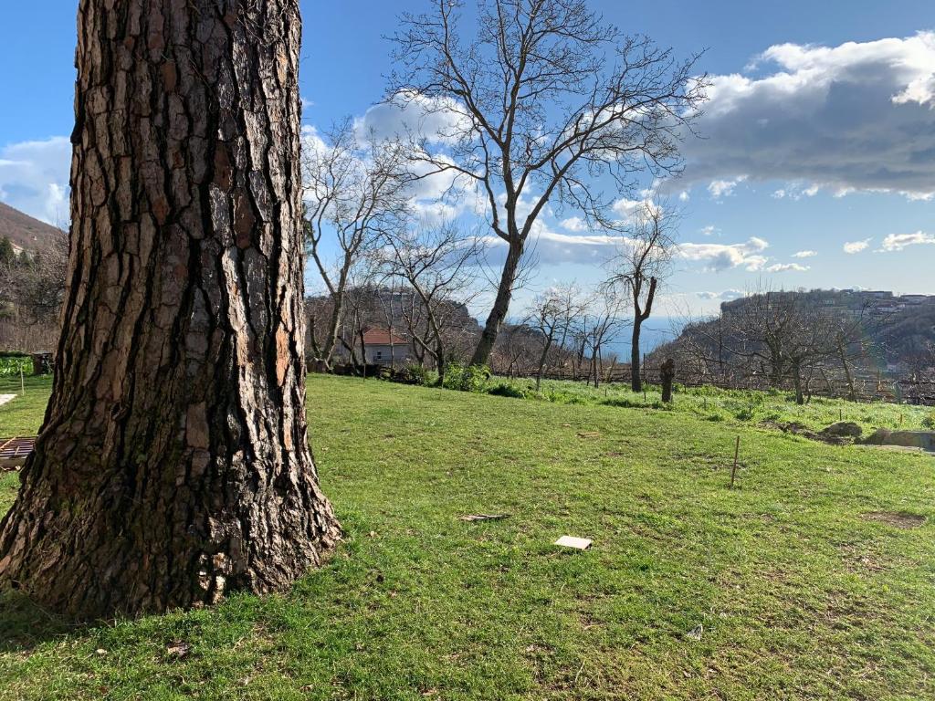 Tenuta Novecento Bioagriturismo - 14