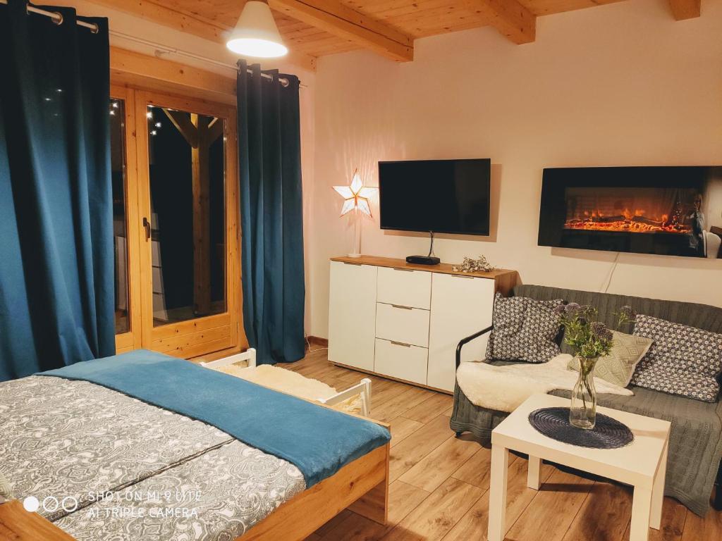 Televízia a/alebo spoločenská miestnosť v ubytovaní Apartament Borowikowe Zacisze