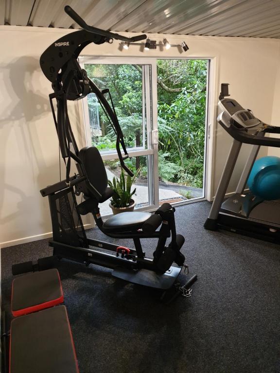 Fitness centrum a/nebo fitness zařízení v ubytování Tui2 Macandrew Bay