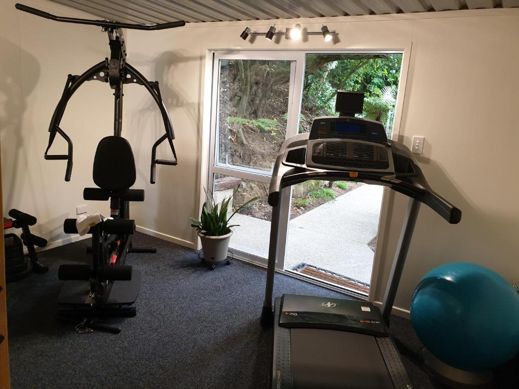 Fitness centrum a/nebo fitness zařízení v ubytování Tui2 Macandrew Bay
