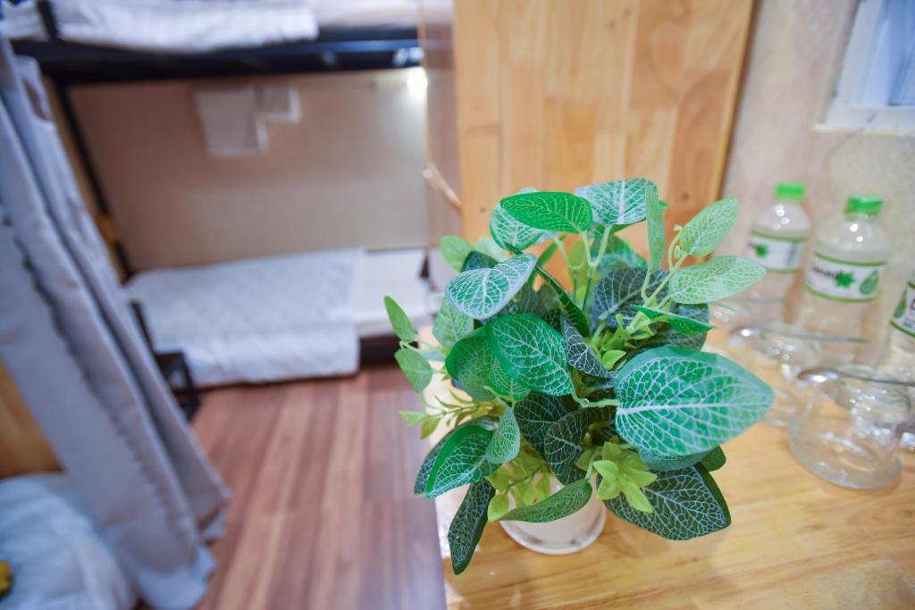 Postel nebo postele na pokoji v ubytování Winny Hotel Ninh Kieu Quay