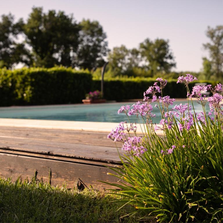 Zahrada ubytování Agriturismo I Tre Fossi