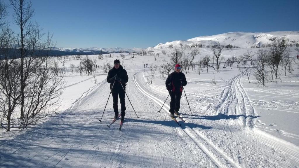 Pensionat Mullfjället v zimě