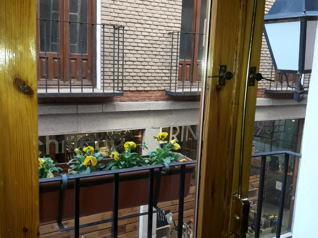 ToledoAloja - Estudio en Toledo - 10