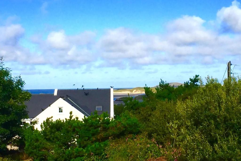 una casa blanca en medio de árboles en Bunbeg Apartment, en Bunbeg