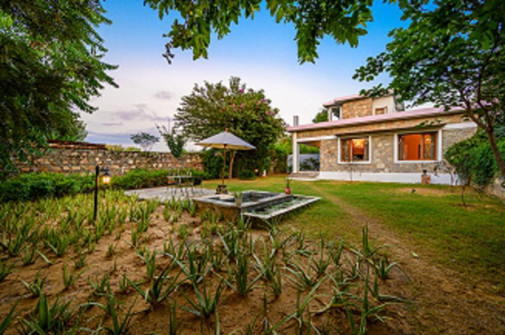 A Dog's Story, Jaipur, Jaipur (updated prices 2024)