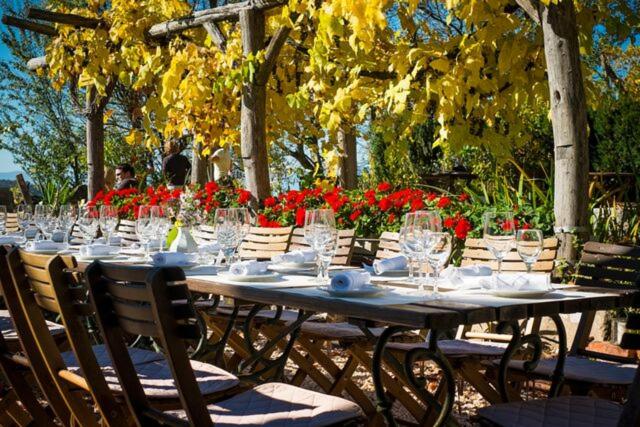 Zahrada ubytování Weingartenhotel Harkamp Südsteiermark