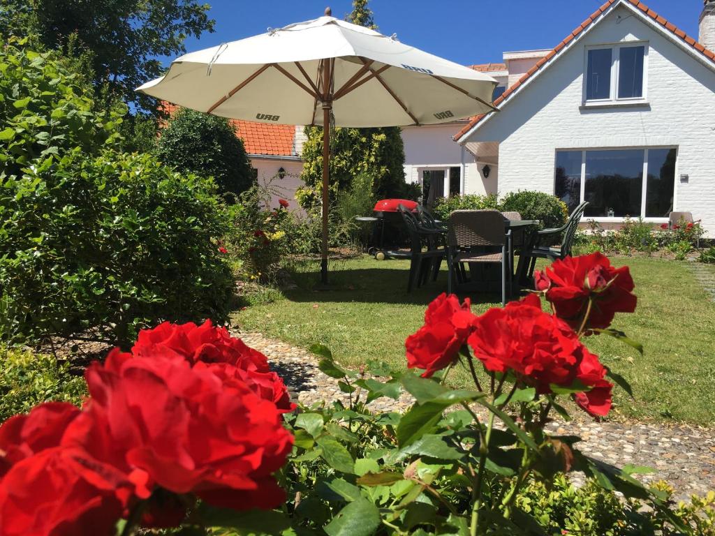 un jardín con rosas rojas y sombrilla en Maison du golf en Nieuwpoort