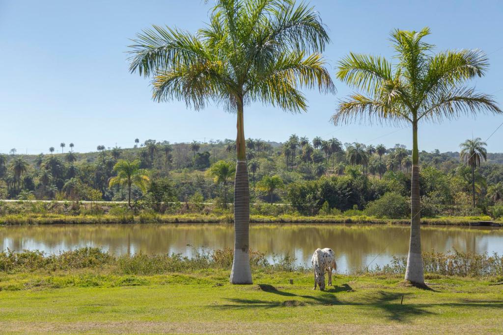  Fazenda Moinho