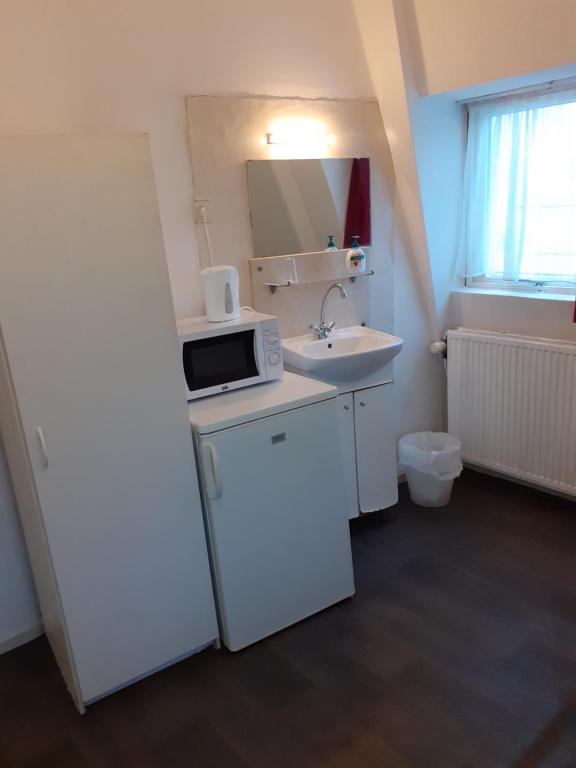 Kuchyň nebo kuchyňský kout v ubytování Hostel Pension Tivoli