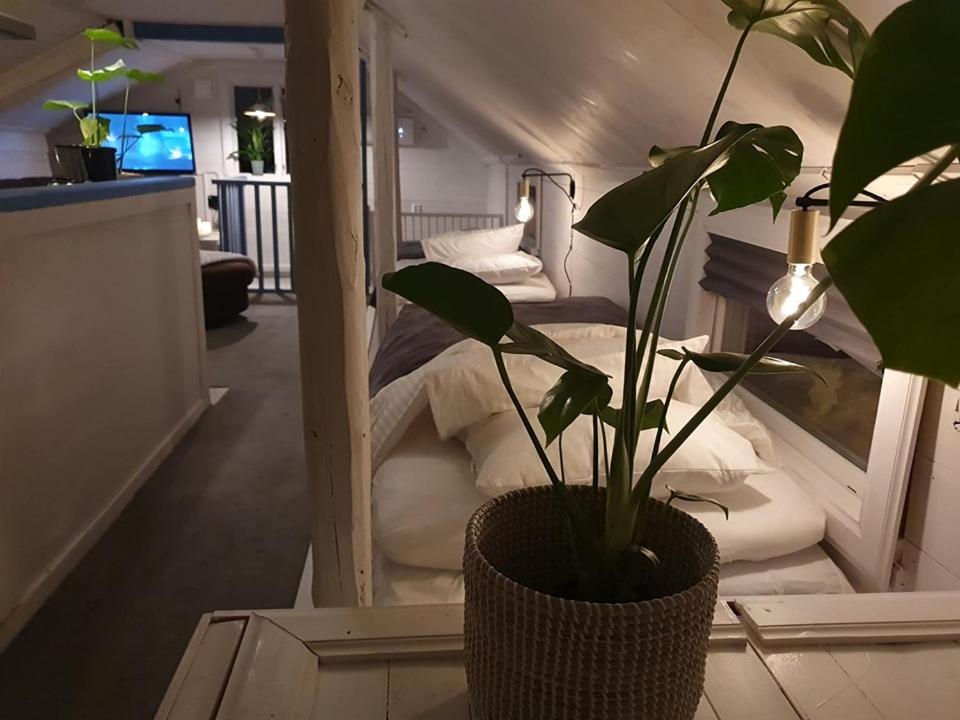 une plante en pot assise sur une table à côté d'une chambre dans l'établissement Lugnets hotellägenhet, à Leksand