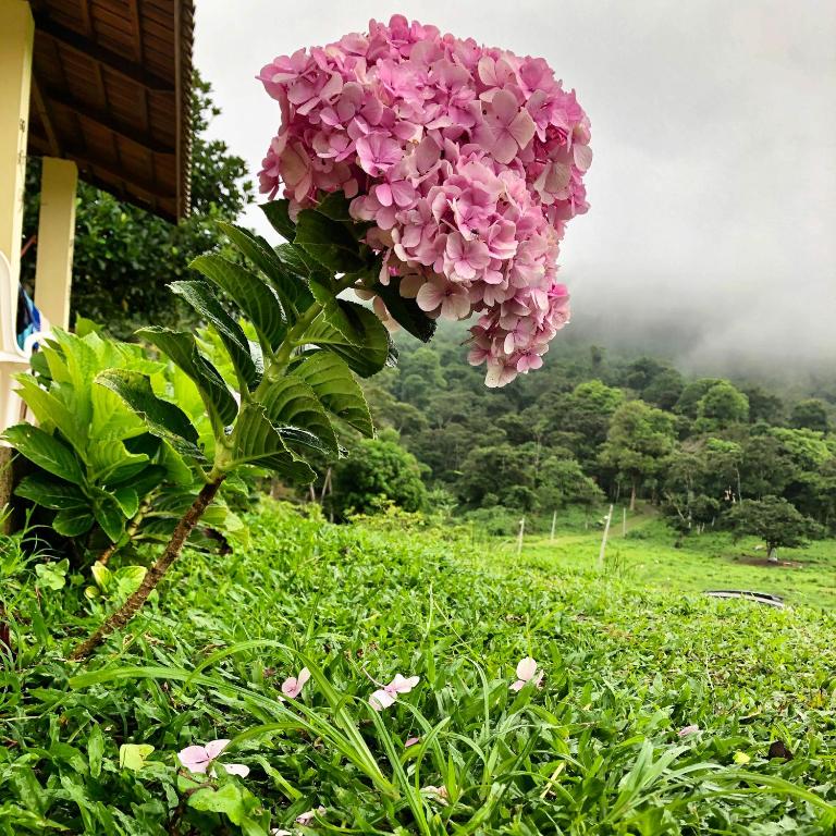 Gran Chalé Belo Monte  Gran Chalé Belo Monte