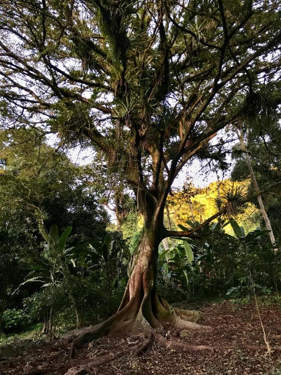 Gran Chalé Belo Monte  Gran Chalé Belo Monte