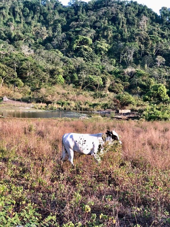 Chalé Bela Vista - Sítio Belo Monte  Chalé Bela Vista - Sítio Belo Monte