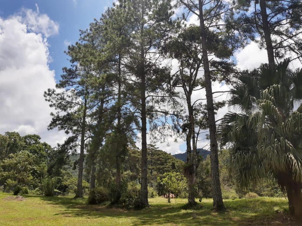  Sitio Sao Jeronimo