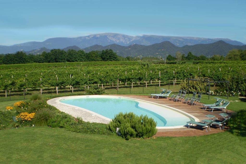 uma piscina no meio de uma vinha em Col Delle Rane em Caerano di San Marco