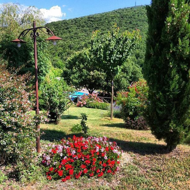 Zahrada ubytování Podere Costa Romana