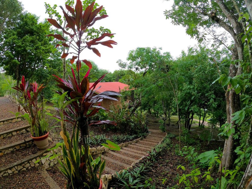 a garden with stairs and plants at Santa Cruz Cabins in Santa Elena