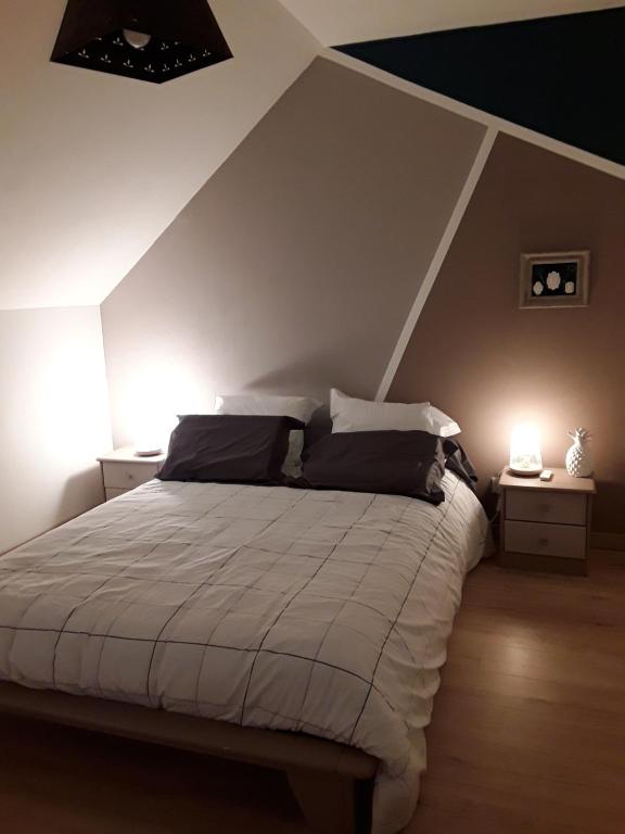 a bedroom with a bed with two night stands and two lamps at Maison bois in Germigny-des-Prés