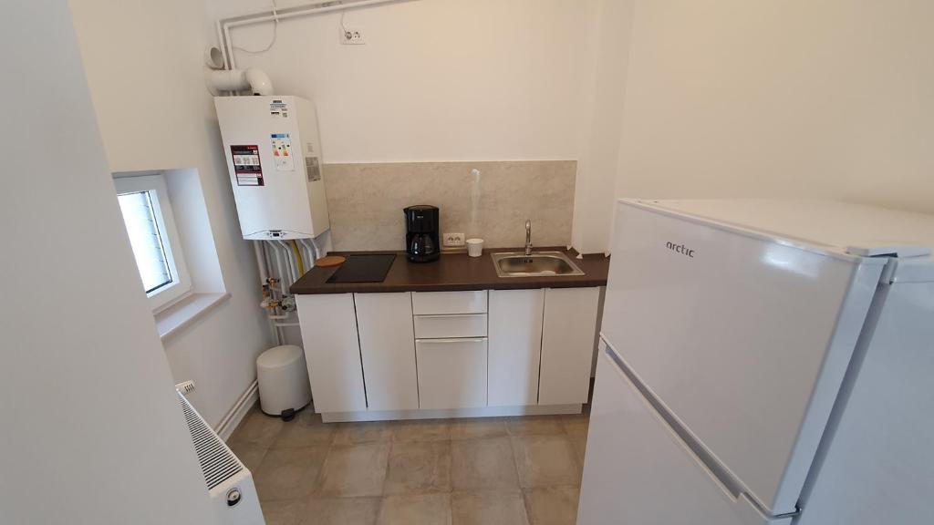 Casa Florescu 13 - Resim 29