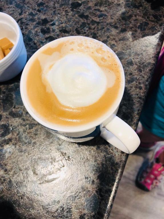 Hokitika - Blue Spur Bed and Breakfast - Resim 14