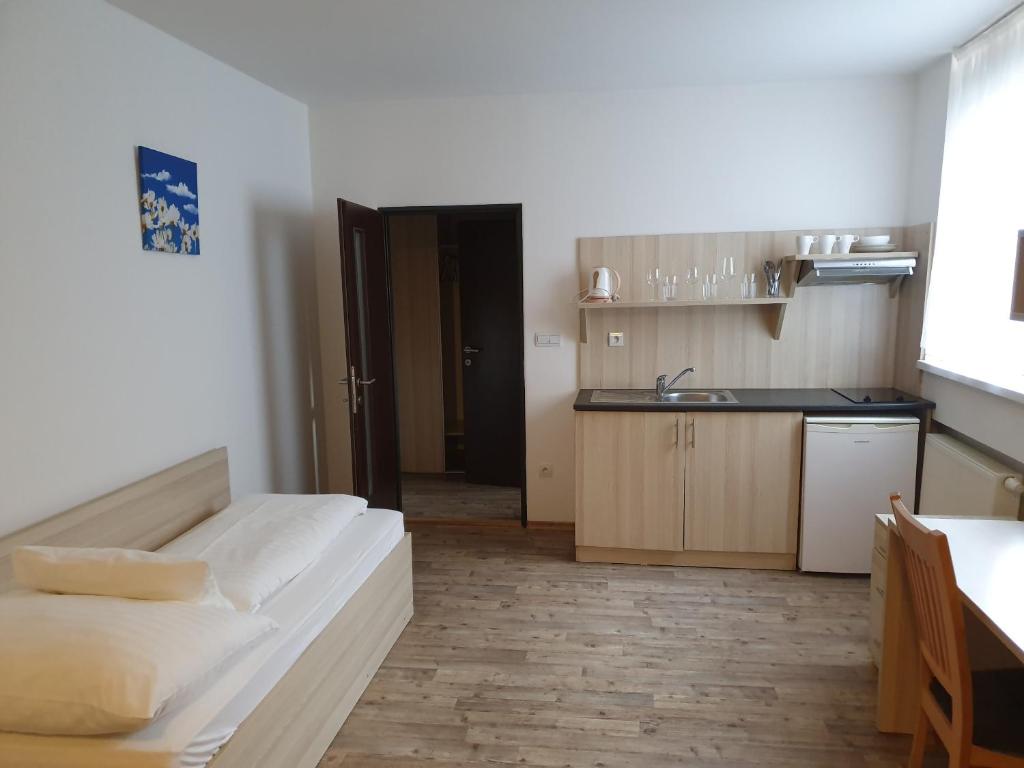 Kuchyňa alebo kuchynka v ubytovaní Hotel Palác
