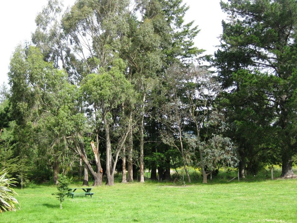 Alpine Holiday Apartments & Campground - Resim 23