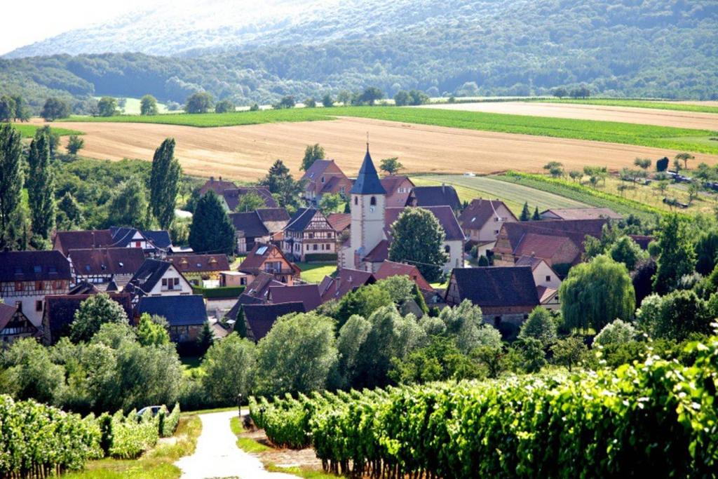 une petite ville au milieu d'un vignoble dans l'établissement Elsasslogie im Winzerdorf, à Cleebourg