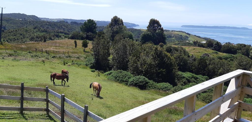 Cabaña Quiquel, Dalcahue, Chiloe