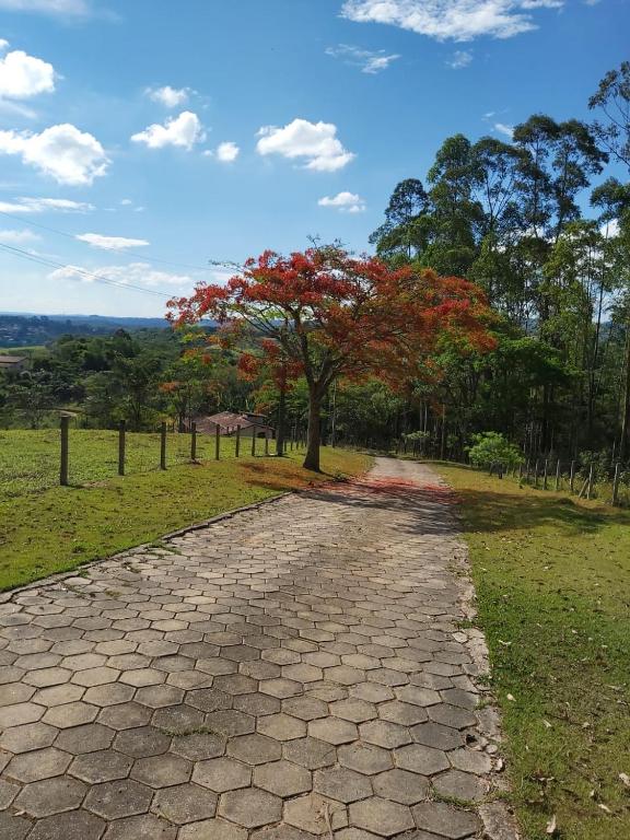  SÍTIO FLOR DE LYS