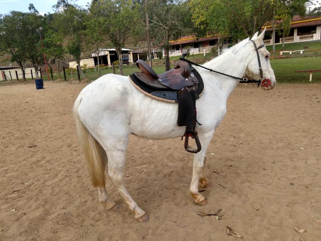  Pousada Recomeço da paz - Antiga Pousada Araucária